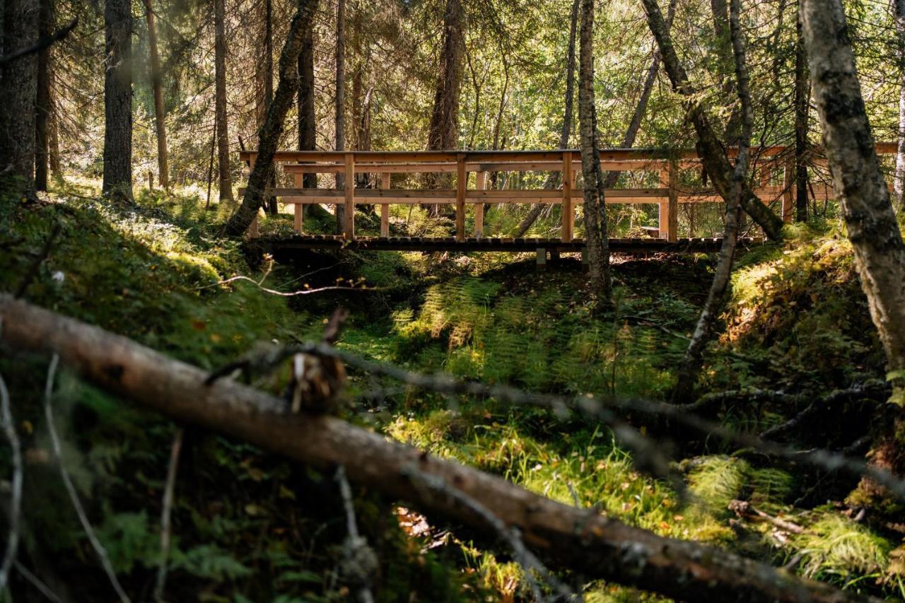 Ollero Eco Lodge 로바니에미 외부 사진