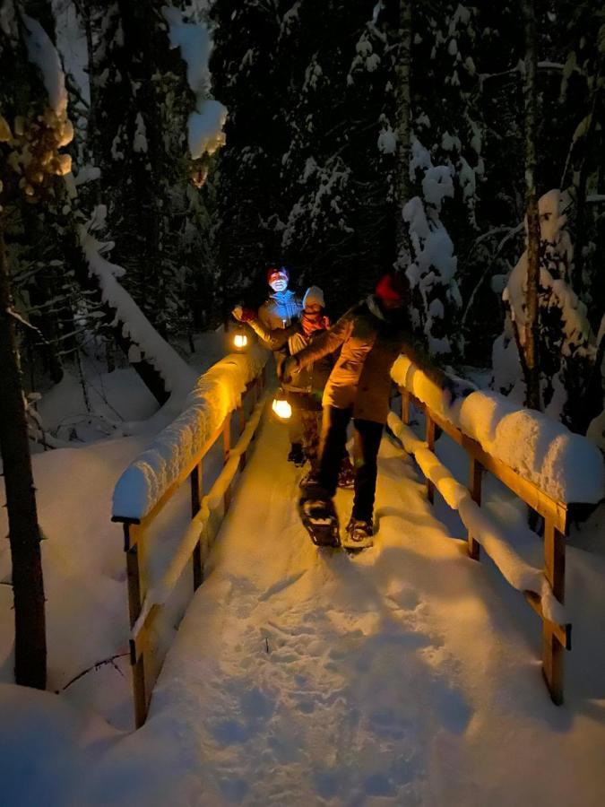 Ollero Eco Lodge 로바니에미 외부 사진